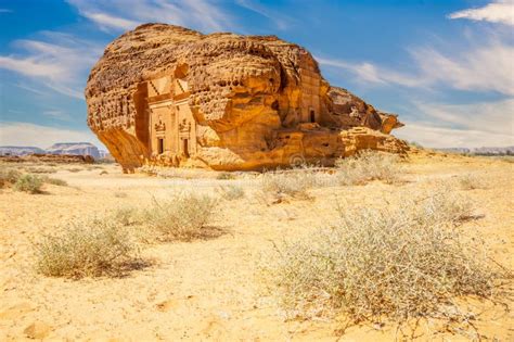hmar meaning in arabic|حمار .